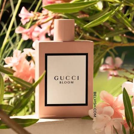 Gucci Bloom Perfume